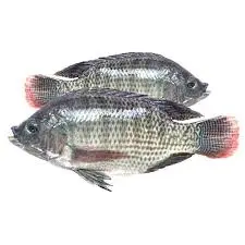 Tilapia 1 whole fish, cleaned and descaled