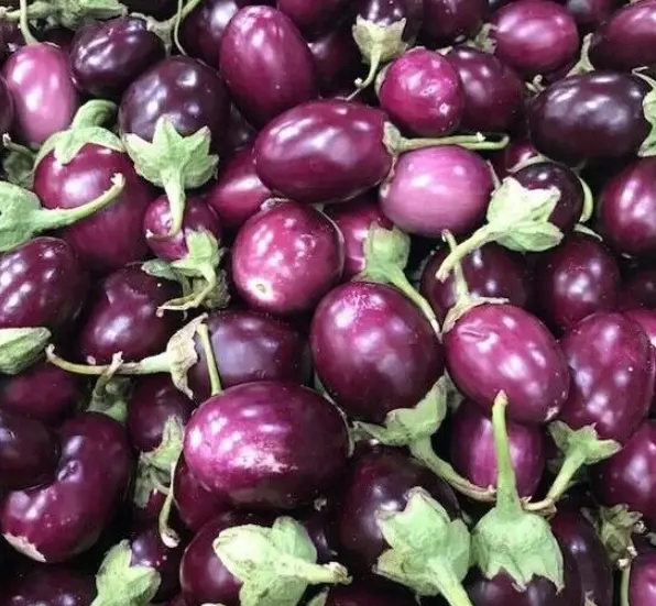 Purple Brinjal/Eggplant 500g