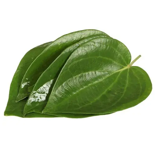 Betel leaves/Pan ,5pc
