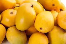 Banganapally /Badami mangoes 1kg