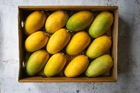 Honey/Champange mangoes  1 kg