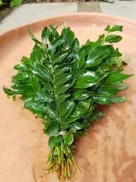 Curry leaves (1 pack)