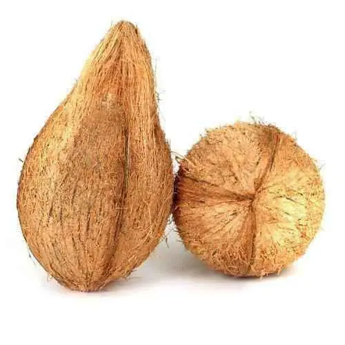 Pooja Coconut with tail